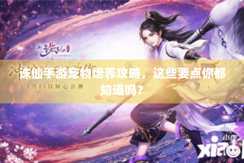 诛仙手游宠物培养攻略，这些要点你都知道吗？