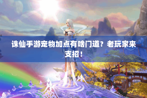 诛仙手游宠物加点有啥门道？老玩家来支招！