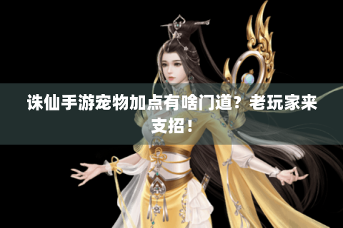诛仙手游宠物加点有啥门道？老玩家来支招！