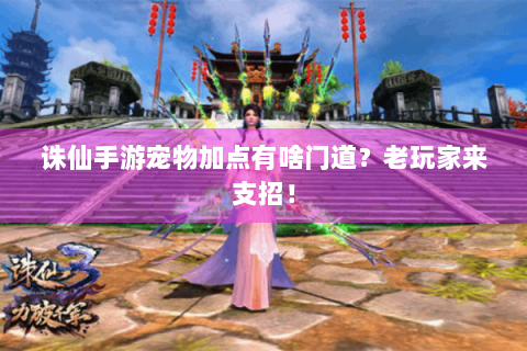 诛仙手游宠物加点有啥门道？老玩家来支招！