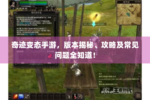 奇迹变态手游，版本揭秘、攻略及常见问题全知道！