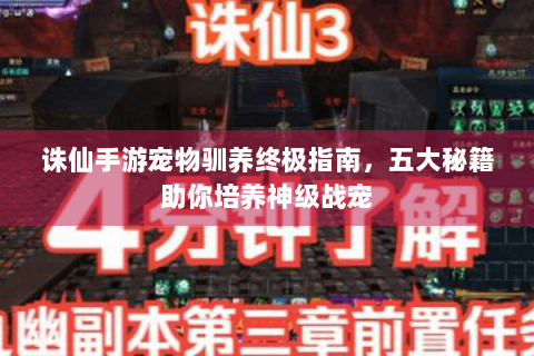 诛仙手游宠物驯养终极指南，五大秘籍助你培养神级战宠