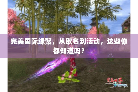 完美国际缘聚，从取名到活动，这些你都知道吗？