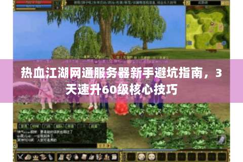 热血江湖网通服务器新手避坑指南，3天速升60级核心技巧