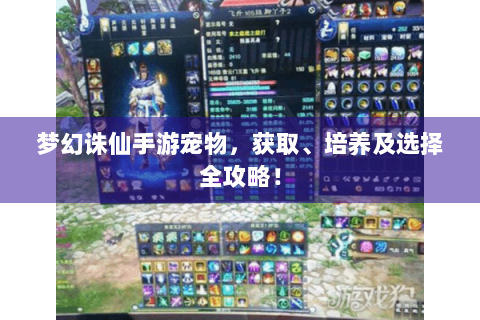 梦幻诛仙手游宠物，获取、培养及选择全攻略！