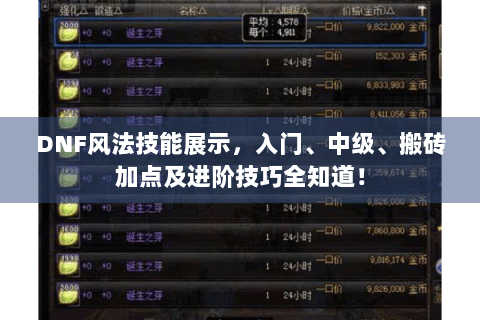 DNF风法技能展示，入门、中级、搬砖加点及进阶技巧全知道！