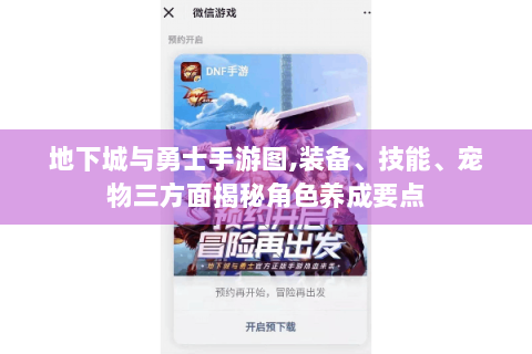 地下城与勇士手游图,装备、技能、宠物三方面揭秘角色养成要点