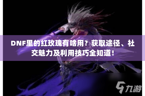 DNF里的红玫瑰有啥用？获取途径、社交魅力及利用技巧全知道！