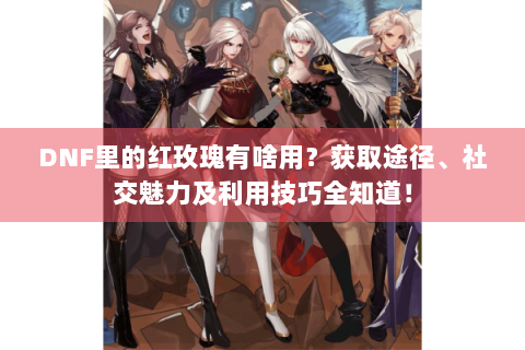 DNF里的红玫瑰有啥用？获取途径、社交魅力及利用技巧全知道！
