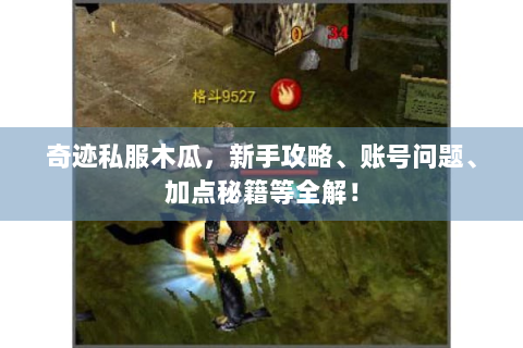 奇迹私服木瓜，新手攻略、账号问题、加点秘籍等全解！