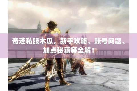 奇迹私服木瓜，新手攻略、账号问题、加点秘籍等全解！