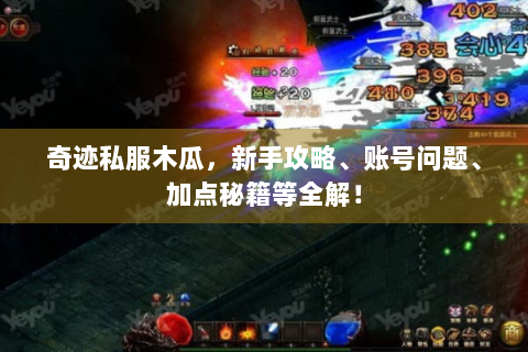 奇迹私服木瓜，新手攻略、账号问题、加点秘籍等全解！