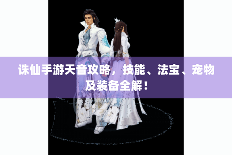诛仙手游天音攻略，技能、法宝、宠物及装备全解！