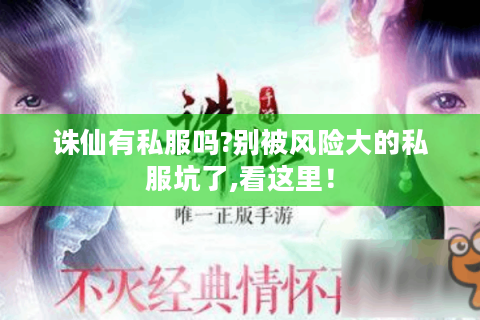 诛仙有私服吗?别被风险大的私服坑了,看这里！