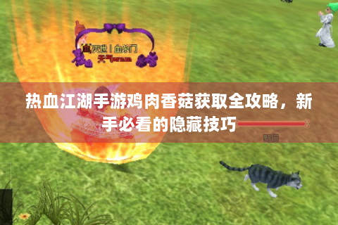 热血江湖手游鸡肉香菇获取全攻略，新手必看的隐藏技巧