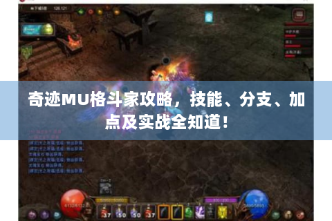 奇迹MU格斗家攻略，技能、分支、加点及实战全知道！