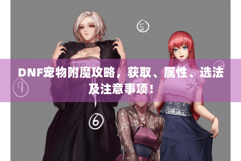 DNF宠物附魔攻略，获取、属性、选法及注意事项！