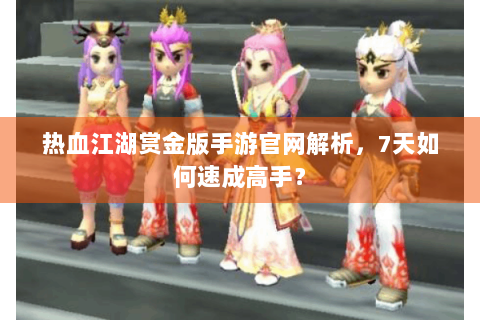 热血江湖赏金版手游官网解析，7天如何速成高手？