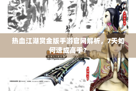 热血江湖赏金版手游官网解析，7天如何速成高手？