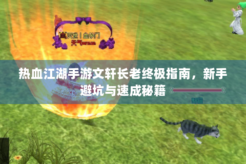 热血江湖手游文轩长老终极指南，新手避坑与速成秘籍