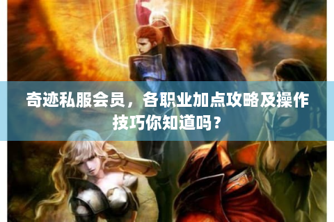 奇迹私服会员，各职业加点攻略及操作技巧你知道吗？