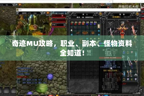 奇迹MU攻略，职业、副本、怪物资料全知道！