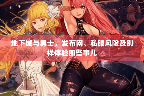 地下城与勇士，发布网、私服风险及别样体验那些事儿