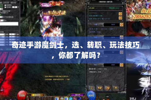 奇迹手游魔剑士，选、转职、玩法技巧，你都了解吗？