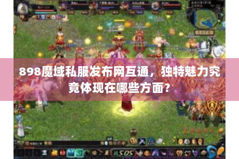 898魔域私服发布网互通，独特魅力究竟体现在哪些方面？