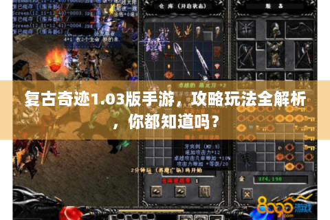 复古奇迹1.03版手游，攻略玩法全解析，你都知道吗？