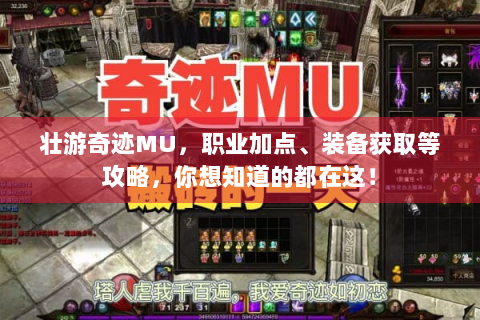 壮游奇迹MU，职业加点、装备获取等攻略，你想知道的都在这！