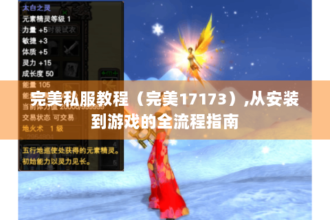 完美私服教程（完美17173）,从安装到游戏的全流程指南