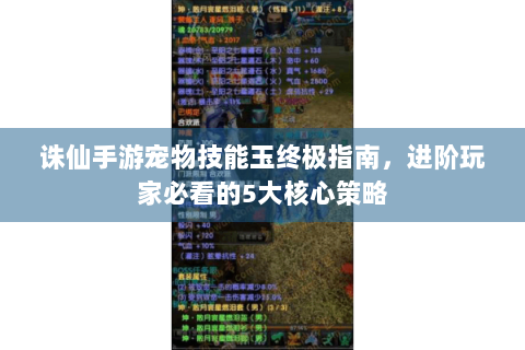 诛仙手游宠物技能玉终极指南，进阶玩家必看的5大核心策略