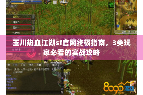 玉川热血江湖sf官网终极指南，3类玩家必看的实战攻略