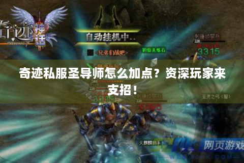 奇迹私服圣导师怎么加点？资深玩家来支招！
