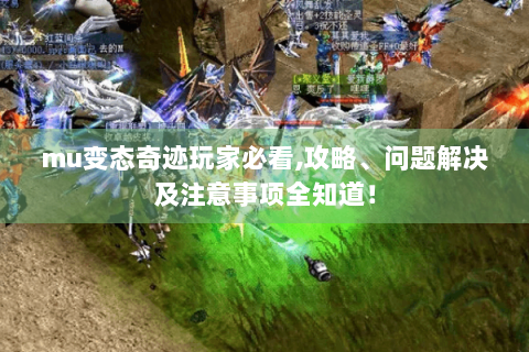 mu变态奇迹玩家必看,攻略、问题解决及注意事项全知道！
