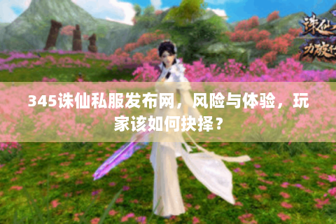 345诛仙私服发布网，风险与体验，玩家该如何抉择？
