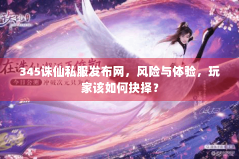 345诛仙私服发布网，风险与体验，玩家该如何抉择？