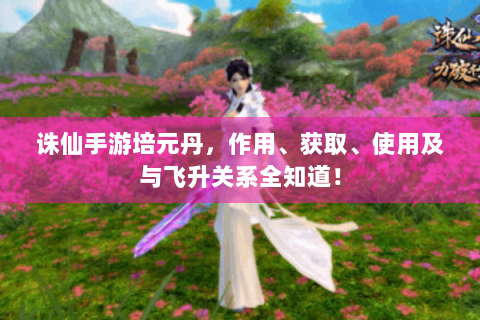 诛仙手游培元丹，作用、获取、使用及与飞升关系全知道！
