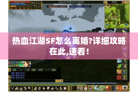 热血江湖SF怎么离婚?详细攻略在此,速看！