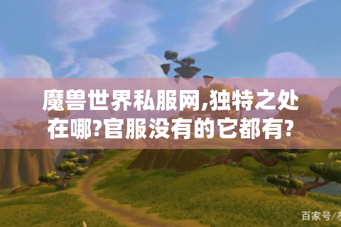 魔兽世界私服网,独特之处在哪?官服没有的它都有?