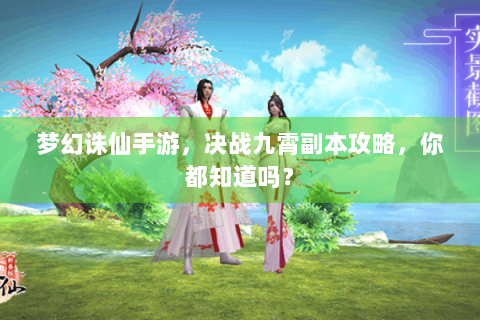 梦幻诛仙手游，决战九霄副本攻略，你都知道吗？