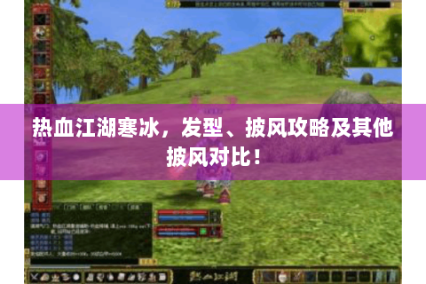 热血江湖寒冰，发型、披风攻略及其他披风对比！