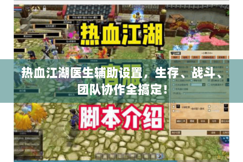 热血江湖医生辅助设置，生存、战斗、团队协作全搞定！