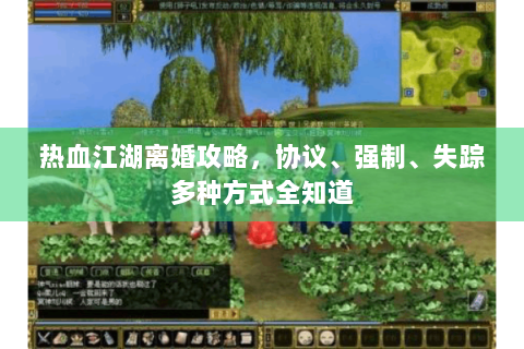 热血江湖离婚攻略，协议、强制、失踪多种方式全知道