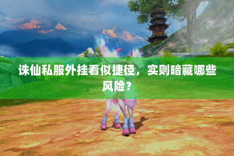 诛仙私服外挂看似捷径，实则暗藏哪些风险？