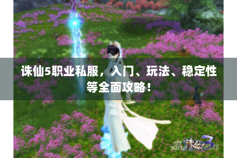 诛仙5职业私服，入门、玩法、稳定性等全面攻略！