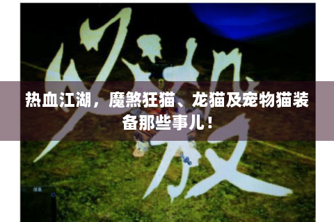 热血江湖，魔煞狂猫、龙猫及宠物猫装备那些事儿！