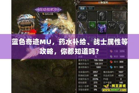 蓝色奇迹MU，药水补给、战士属性等攻略，你都知道吗？