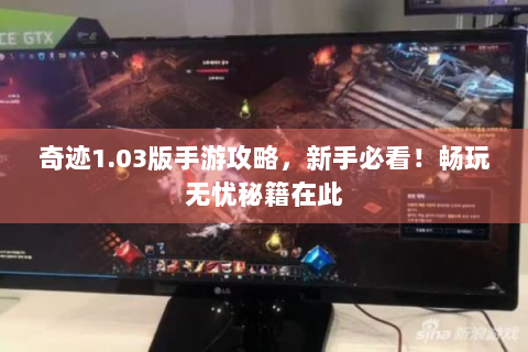 奇迹1.03版手游攻略，新手必看！畅玩无忧秘籍在此